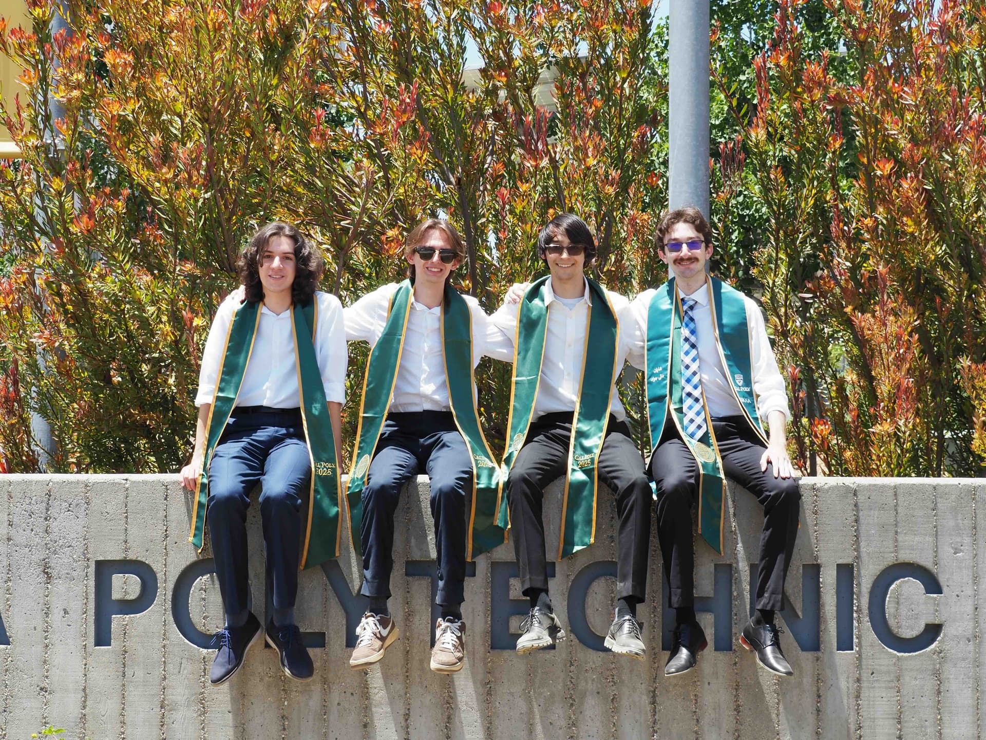 bachelors